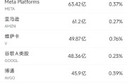有夫之妇6月13日美股成交额前20：特斯拉本周上涨逾10%，美国将为自动驾驶出租车开绿灯