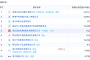 有夫之妇地方国资大举增持中小银行 缓解资本补充压力