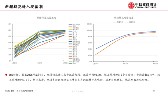 【棉花纺谈】供应端阶段性(🎇)缩量 疆棉基差坚挺